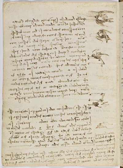 Vogelvluchtcode, c. 1505-06, blad 8 verso door Leonardo da Vinci